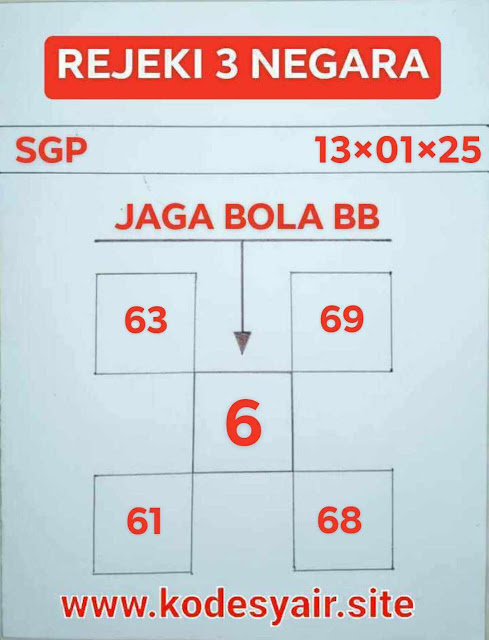 SYAIR SGP VIP